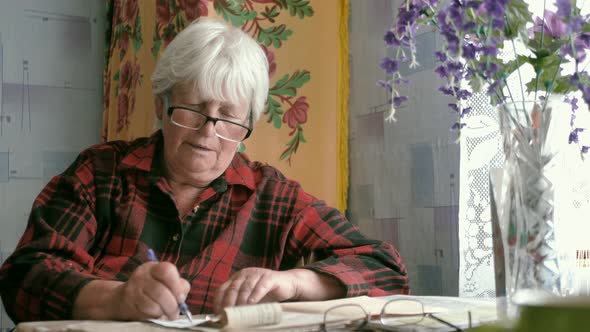 the Old Woman Considers the Payment Documents alt