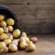 organic potatoes in a basket on the table - PhotoDune Item for Sale