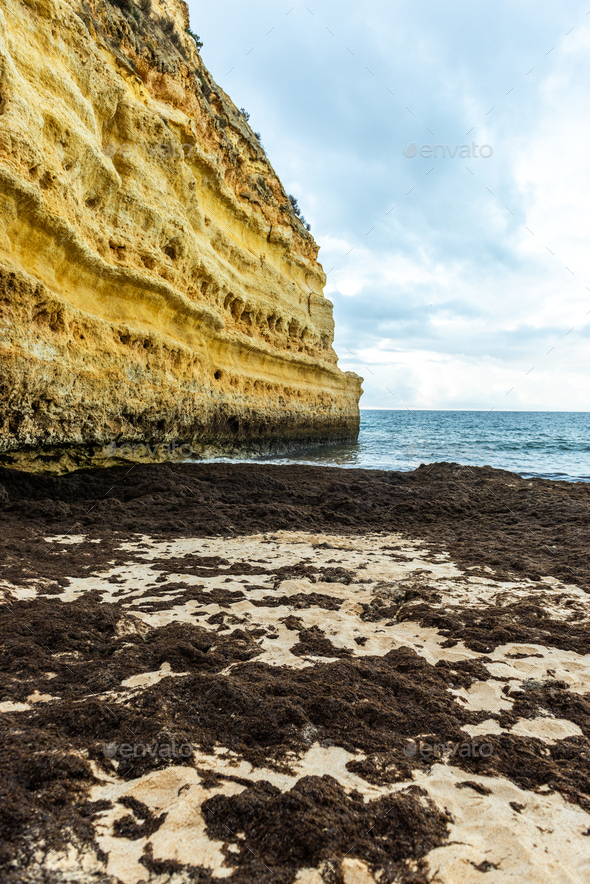 Algae pollution on famous Marinha beach, Algrave Atlantic Ocean coast in Portugal