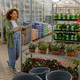 Nursery employee pushing flower cart with shelves laden with colorful assortment of flowering - PhotoDune Item for Sale