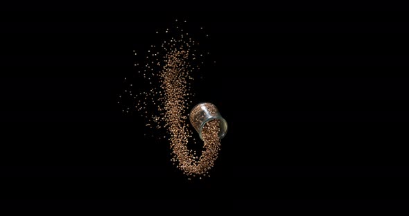 Coriander, coriandrum sativum, seeds falling against Black Background, Slow Motion 4K alt