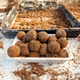 Round, wet clay seed bombs. System to repopulate areas without vegetation. - PhotoDune Item for Sale