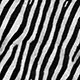 zebra_skin-4K