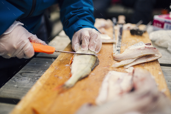 Close-up of person gutting fish