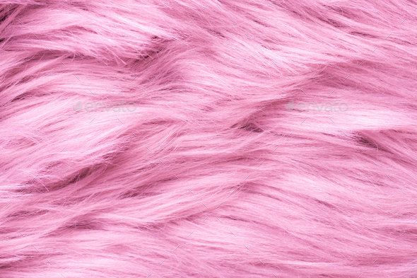 Pink fur texture top view. Pink sheepskin background. Fur pattern. Texture of pink shaggy fur - Stock Photo - Images