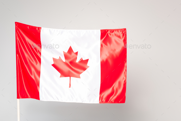 white canadian flag with red maple leaf isolated on grey