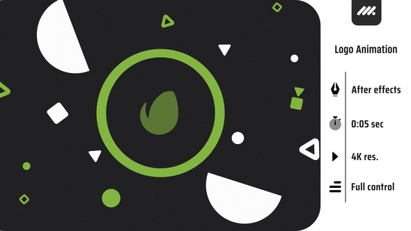 Wiggly logo Logo Stings template preview