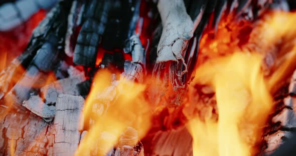 Burned Logs Cracking in Bonfire. Closeup Burned Firewood Cracking and Breaking Under Blazing Fire in alt