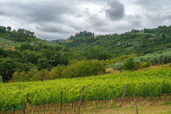 Rural landscape near Cavriglia Arezzo Tuscany