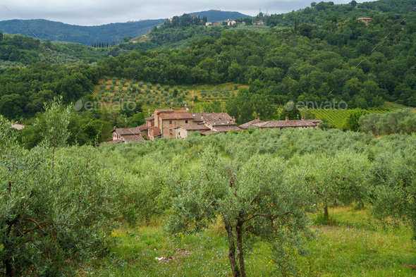 Rural landscape near Cavriglia Arezzo Tuscany