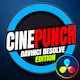 CINEPUNCH I DaVinci Resolve Plugins &amp; Effects Pack - VideoHive Item for Sale