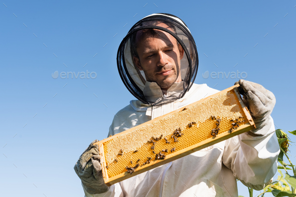 Beekeepers In White Protective Suit Holding Bees And Beeswax In