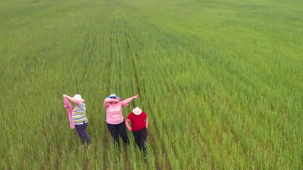 Happy Family are Walking in the Open Green Field alt