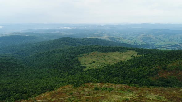 Among the Forests a Plot Without Trees in the Shape of a Heart