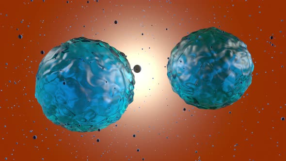 3D rendered visualisation of a stem cell dividing and multiplying alt