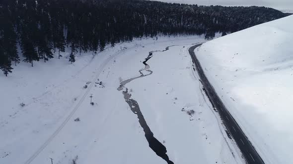 Frozen River and Forest alt