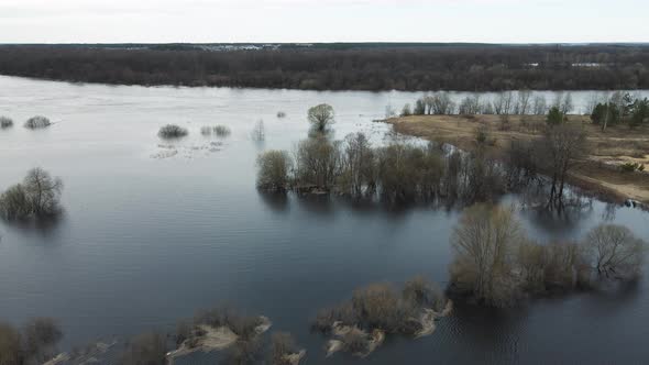 Spring Flood Aerial View Forest and Gray Sky in the Background alt