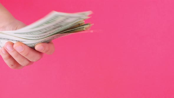 Hand holds US Dollars money bills pink color background. Counting cash american 100 banknotes USD 4K
