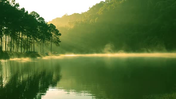 Pang oung lake and pine forest in Mae Hong Son.