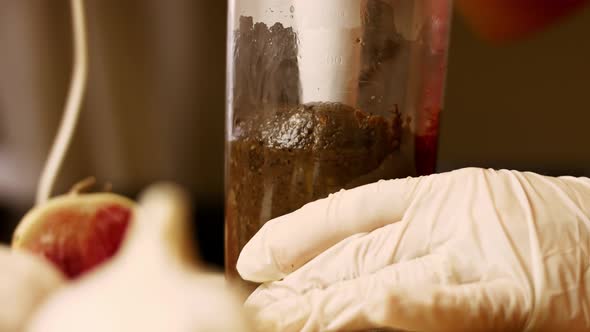 Antarctica Cuisine Secret. Mushroom Pate sandwich with Red Radish. 4k Recipe alt