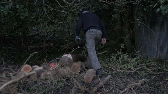 Man walks to continue cutting felled tree 4K alt