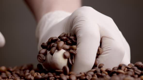 Hands Taking Coffee Seeds Closeup alt