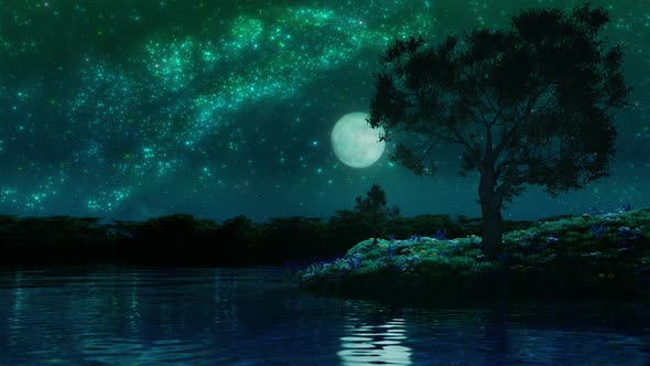 Night Starry Sky, River and Tree Landscape