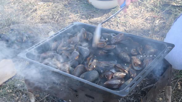 Seafood Mussels in Shells Cooking Outdoor on Barbecue Mangal with Fire and Steam