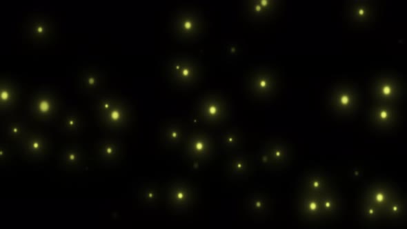 Fireflies