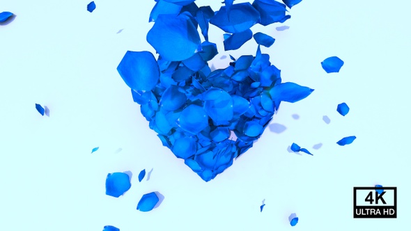 Blue Petals Heart 4K alt