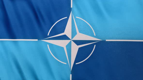 Realistic Full Frame NATO North Atlantic Treaty Organization Flag Loop Banner Background
