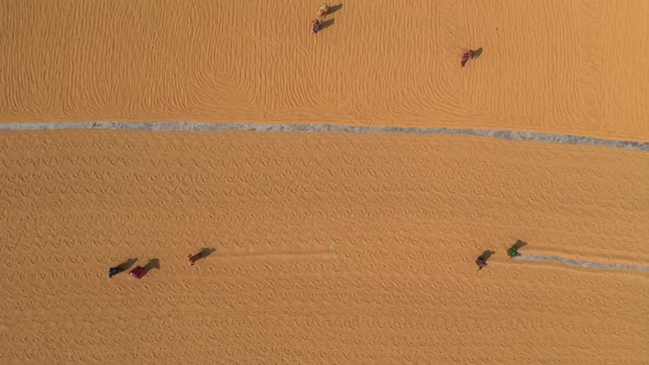 Aerial view of peasants working in a paddy field Dhaka province, Bangladesh. alt