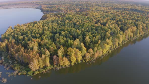 Aerial Footage of a Surface of the Lake Surrounded By Colorful Forest in Autumn