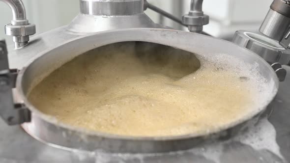 Beer Brew Tank with Boiling Malt alt