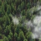 Forest Aerial Clouds - VideoHive Item for Sale