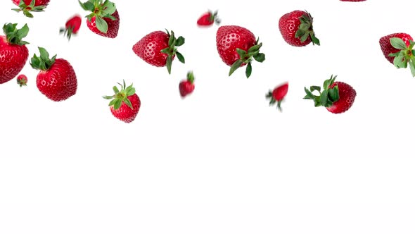 many fresh red strawberries falling above a white background