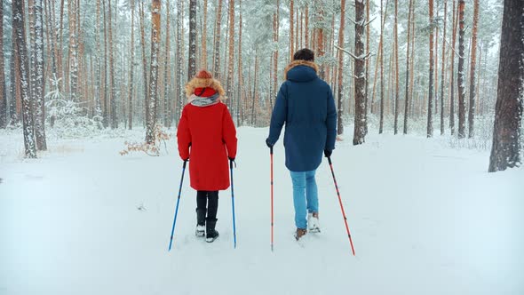 Hiker Practicing Nordic Walking In Forest. Sticks Walking On Winter Forest. Hiker Hiking Sport. alt