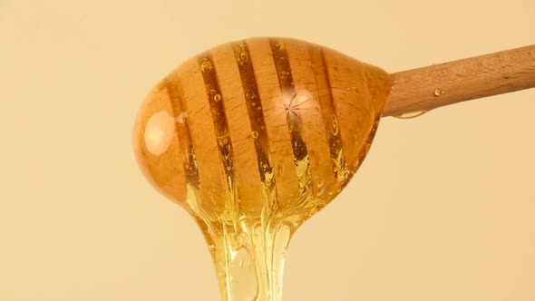 Close up honey flowing from wooden dipper on beige alt