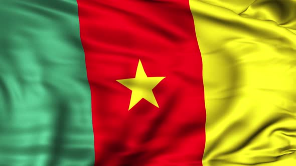 Cameroon Flag alt