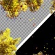 Rotating Autumn Trees - VideoHive Item for Sale