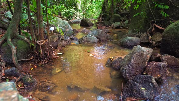 Pure Mountain River, the Water Flows Through the Rocks. Spring