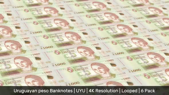 Uruguay Banknotes Money / Uruguayan peso / Currency $U / UYU / 6 Pack - 4K alt