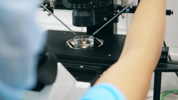 Microscope Is Being Regulated During Research. IVF, in Vitro Fertilisation Process Held in Lab. alt