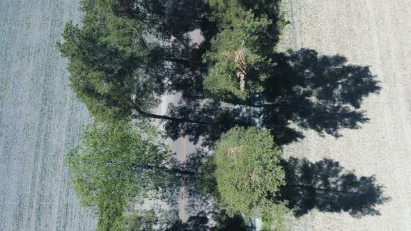 Drone shot of arable landscape at summer alt