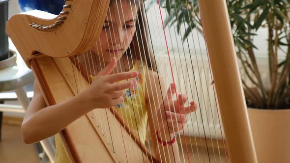The Child Plays the Harp alt
