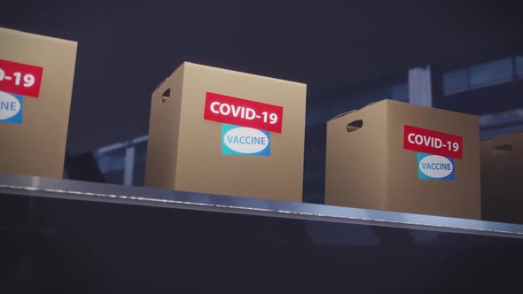 Covid-19 Vaccine Boxes Loopable