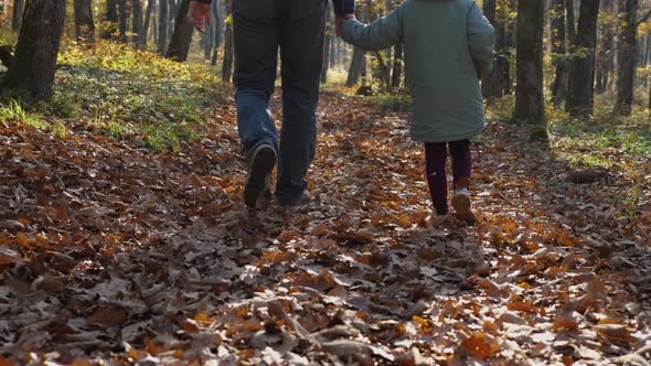 In slow motion, father and daughter holding hands walk and kick fallen leaves in an autumn forest alt