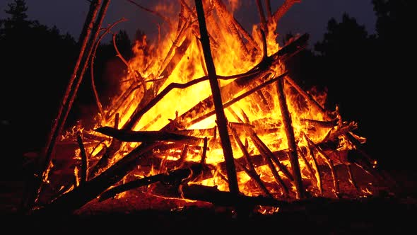 Big Bonfire of the Branches Burn at Night in the Forest, Slow Motion alt