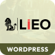 LIEO - Consulting Theme