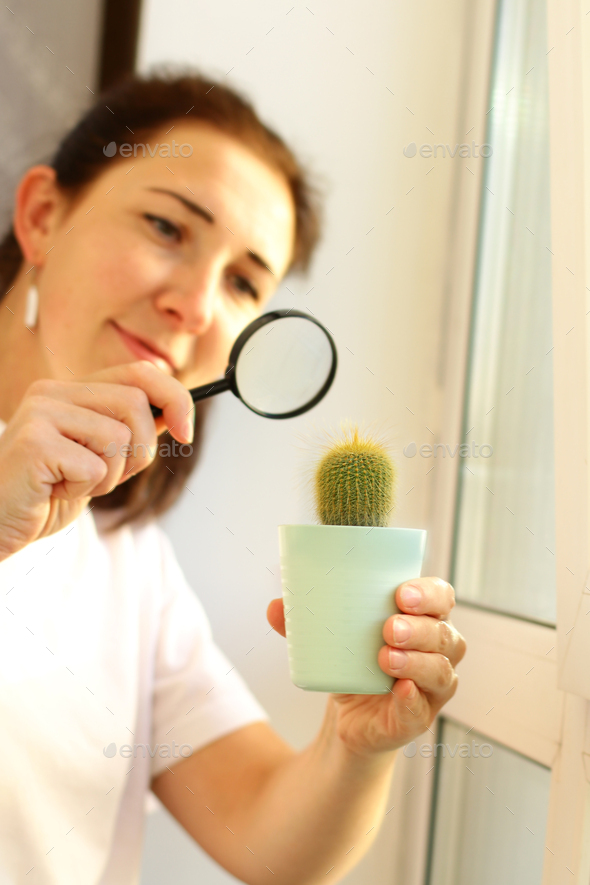 inspection of domestic plants for the presence of pests and diseases